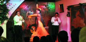Barcelona Flamenco Show