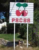 Pacha Sign Sitges