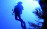 Scuba Diving Adventure in Fuerteventura