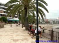 Figueretas promenade with Bench seating & lined with Palm Trees