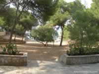 Calo den Pellicer