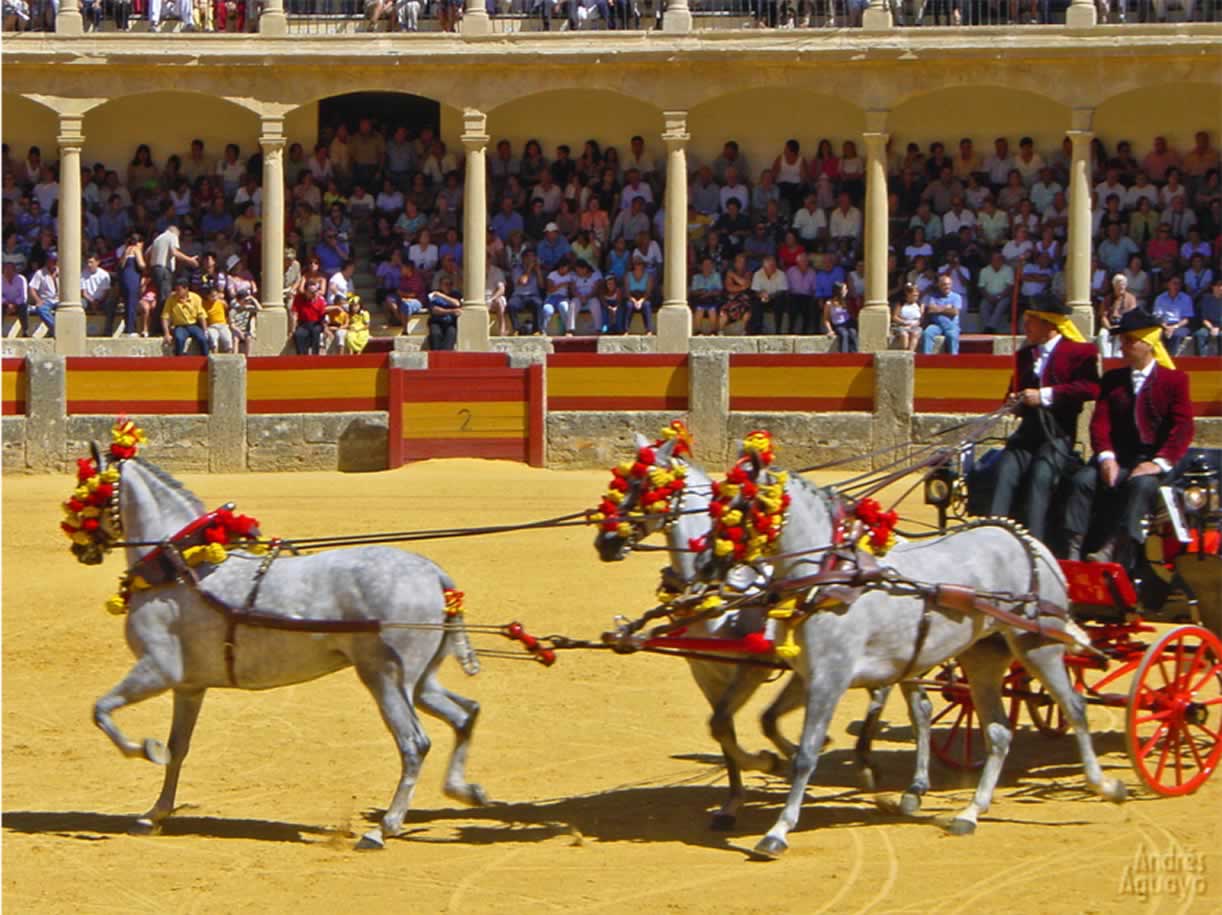 Bull Ring Ronda, Bull Ring Ronda Plaza de Toros Carriage