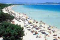 Alcudia